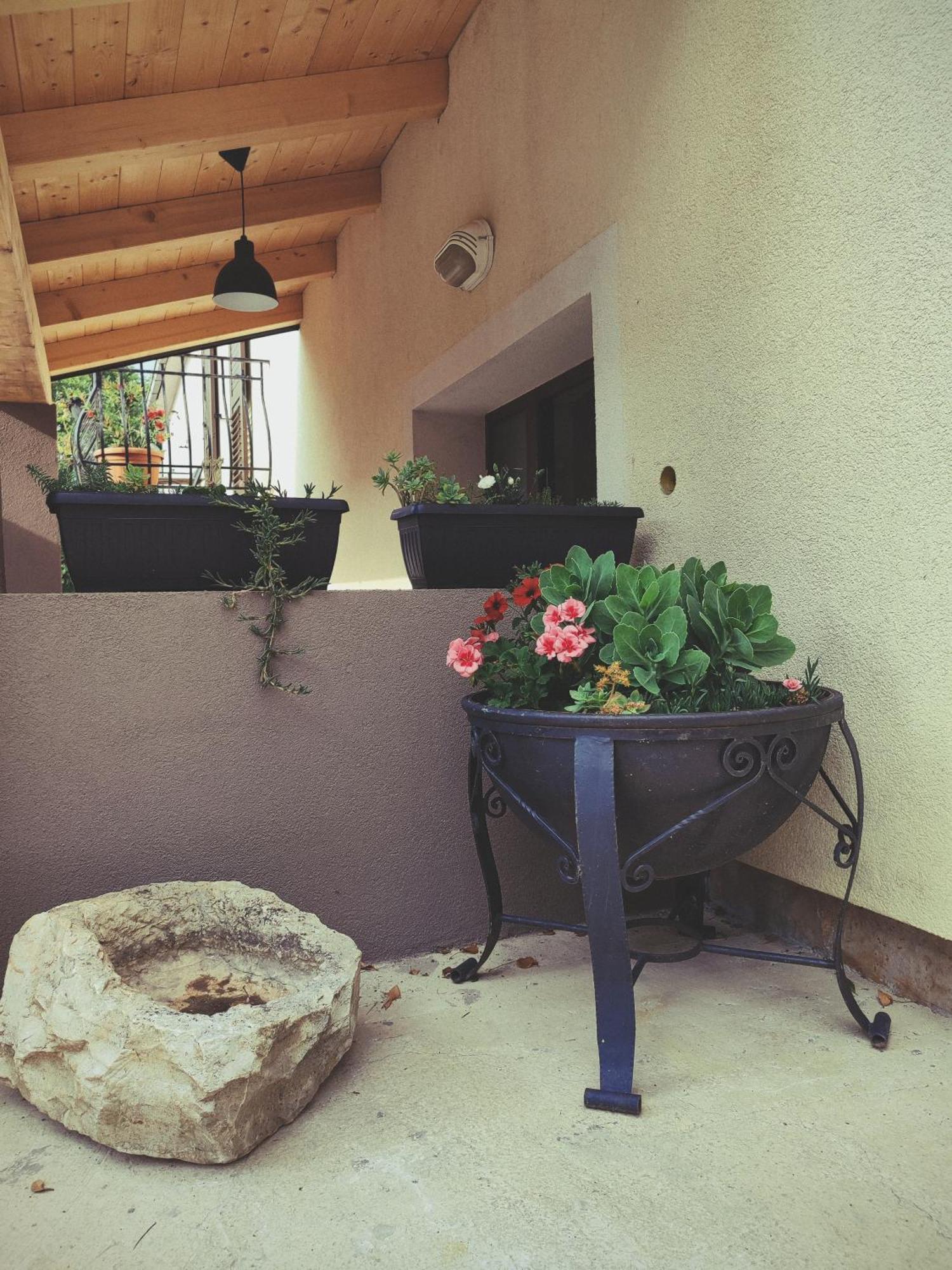 רוביני Villa Judita מראה חיצוני תמונה